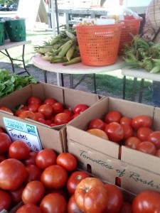Wilton Farmers Market Tomatoes & Corn 9-13