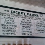 Peach varities Dickey Farms 6-14 - Copy