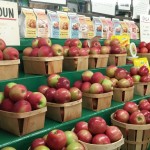 Fresh picked apples at Rogers Orchards
