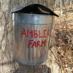 Ambler Farm sap bucket