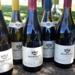 Morgan wines to taste