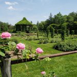 The Elizabeth Park Rose Garden about to burst into color.